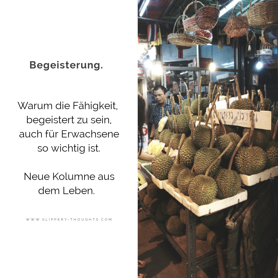 Begeisterung. Warum die Fähigkeit, begeistert zu sein, auch für ...